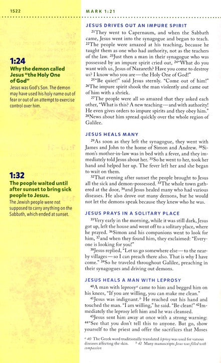 NIV Kids' Visual Study Bible Brown Leathersoft