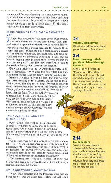 NIV Kids' Visual Study Bible Brown Leathersoft