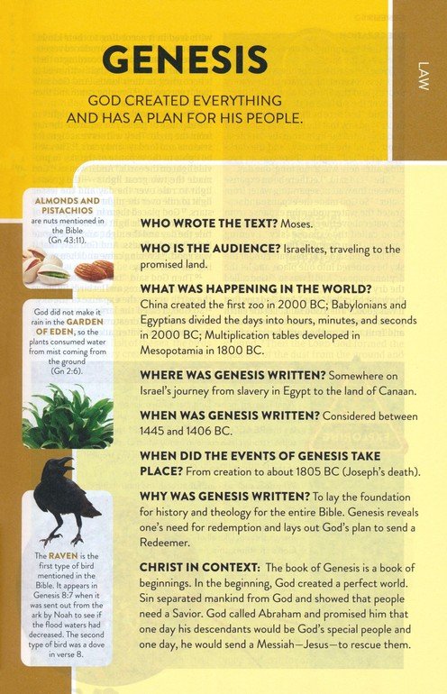 CSB Explorer Bible for Kids Sunshine Indexed