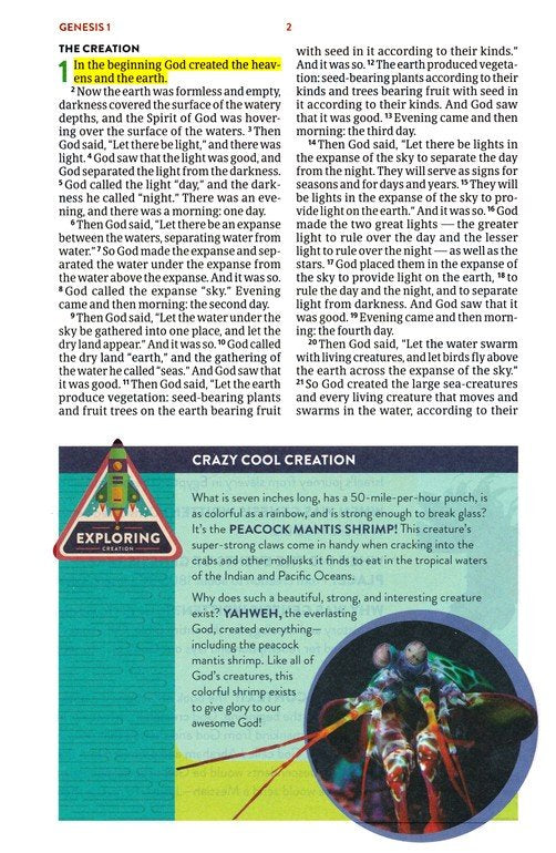 CSB Explorer Bible for Kids Sunshine Indexed