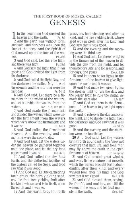 KJV Kids Bible Brown LeatherTouch