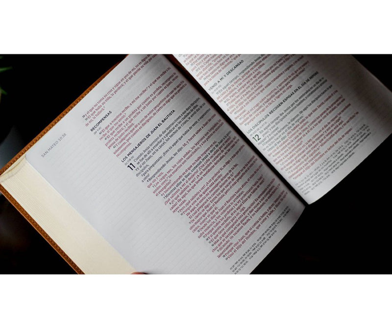 RVR 1960 Santa Biblia Edición para notas Leathersoft, Cafe (RVR 1960 Journal Edition Bible)