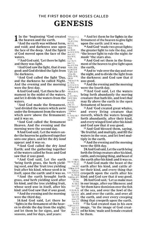 KJV Thinline Reference Bible Brown Leathertouch