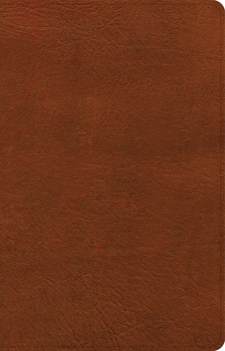 NASB Personal Size Large Print Ref Bible 2020 Burnt Sienna Leathertouch Indexed