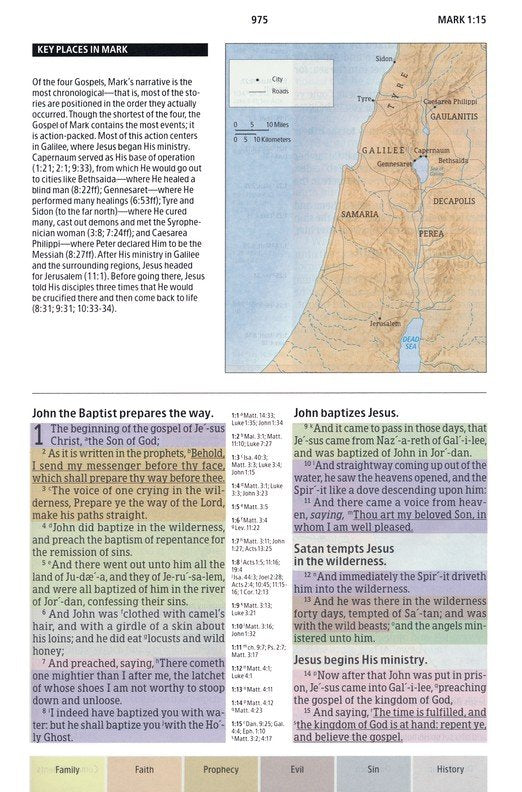 KJV Rainbow Study Bible Black LeatherTouch