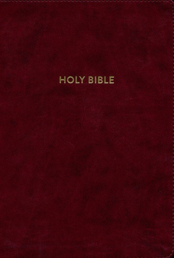 KJV Rainbow Study Bible, Burgundy LeatherTouch Indexed