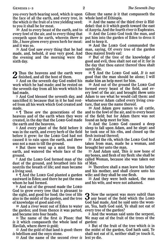 KJV Value Edition Large Print Thinline Bible Pink LeatherTouch