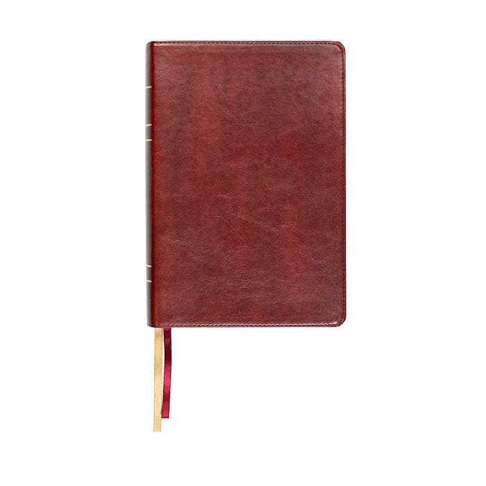 LSB Legacy Standard Large Print Wide Margin Bible Reddish-Brown Faux Leather