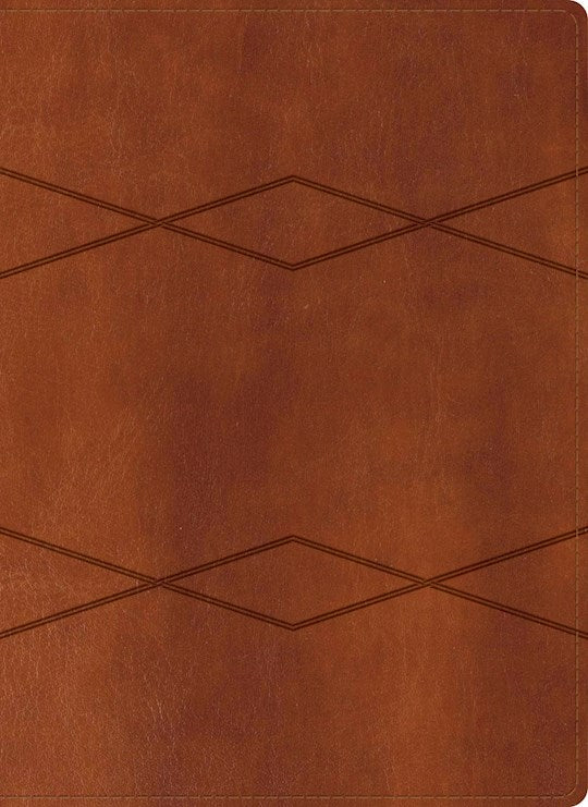 RVR 1960 Biblia de Estudio Holman Cuero marrón con índice Touch (Holman Study Bible Brown LeatherTouch Indexed)