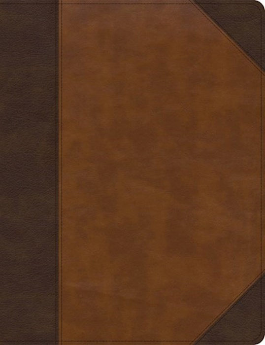 KJV Large Print Notetaking Bible Brown/Tan Leathertouch