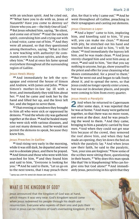 ESV Following Jesus Bible Pink TruTone