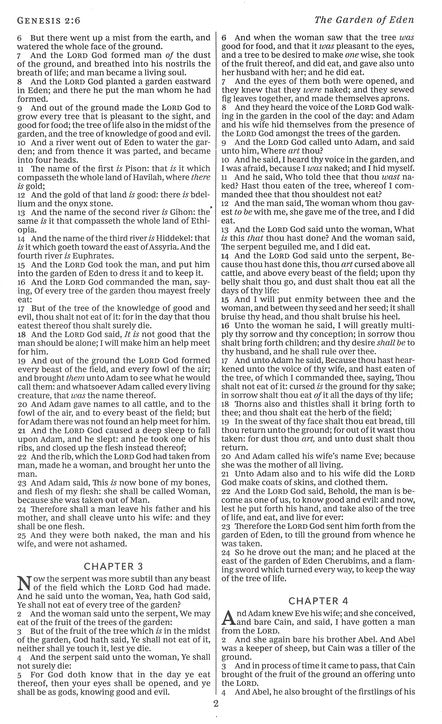 KJV Deluxe Gift Bible Rich Auburn Brown Leathersoft