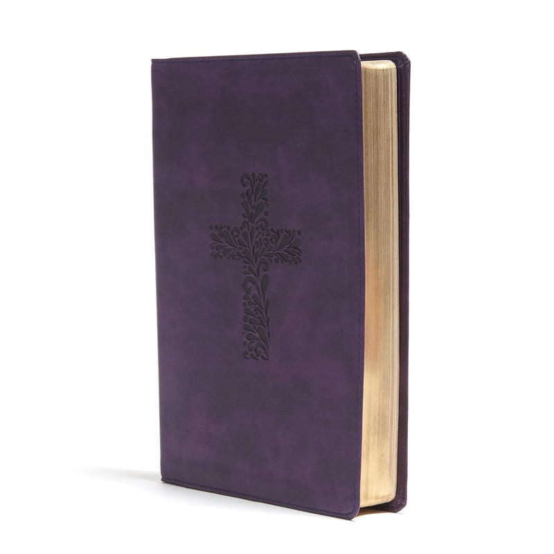 KJV Rainbow Study Bible, Purple LeatherTouch