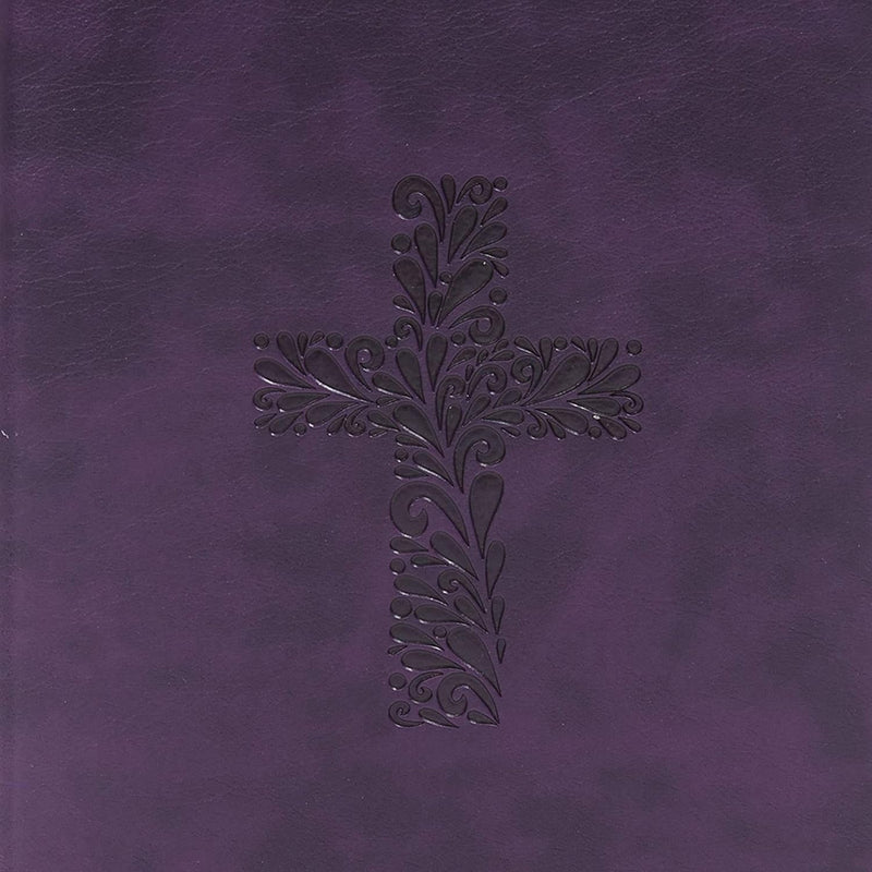 KJV Rainbow Study Bible, Purple LeatherTouch