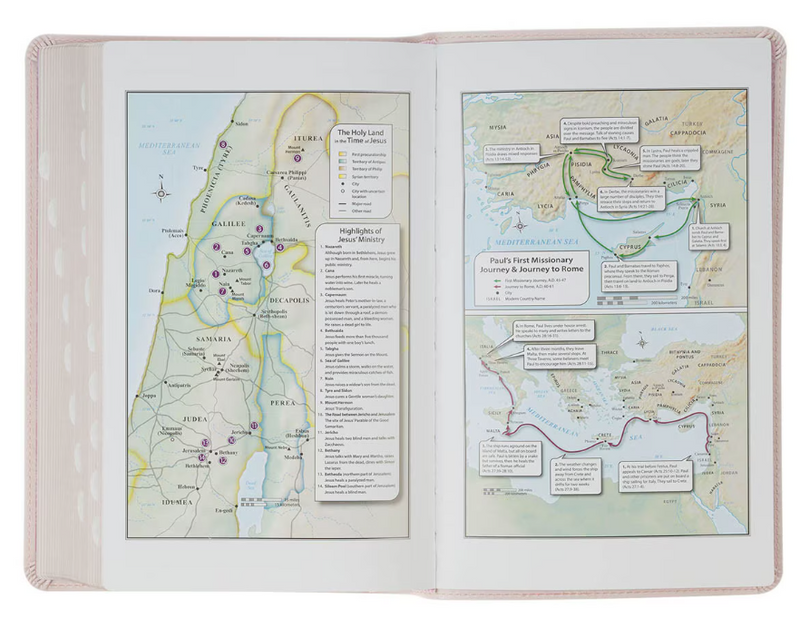 KJV Giant Print Bible Blush Floral Faux Leather Indexed