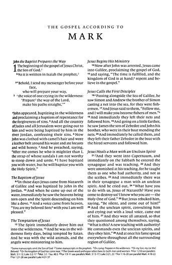 ESV Value Compact Bible Brown TruTone
