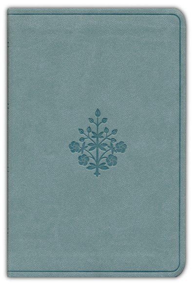 ESV Value Compact Bible Paris Sky TruTone
