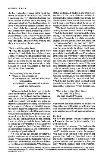 ESV Value Compact Bible Brown TruTone Red Letter