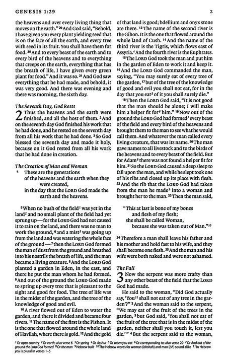 ESV Thinline Bible - Trutone Espresso Indexed