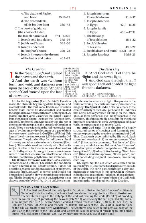 KJV LP Study Bible Tan Leathersoft Indexed