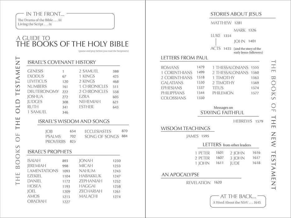 NIrV Free on the Inside Bible, Large Print, Paperback