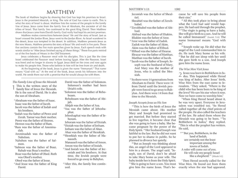 NIrV Free on the Inside Bible, Large Print, Paperback