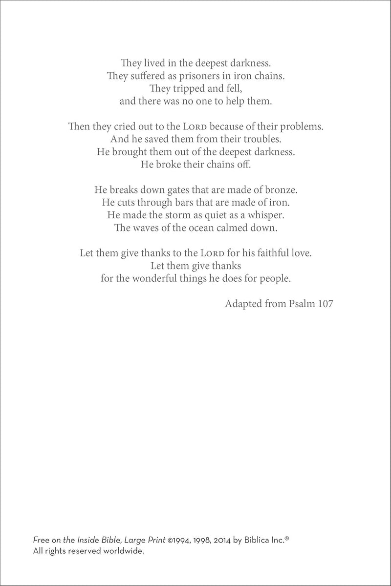 NIrV Free on the Inside Bible, Large Print, Paperback