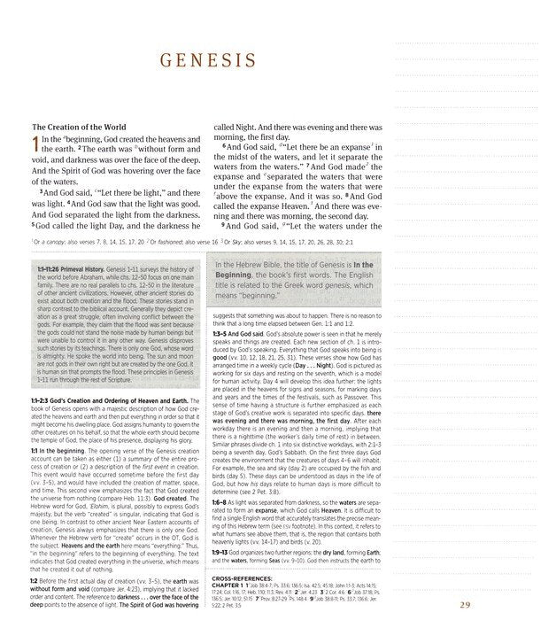 ESV Journaling Study Bible, Paris Sky TruTone over Board