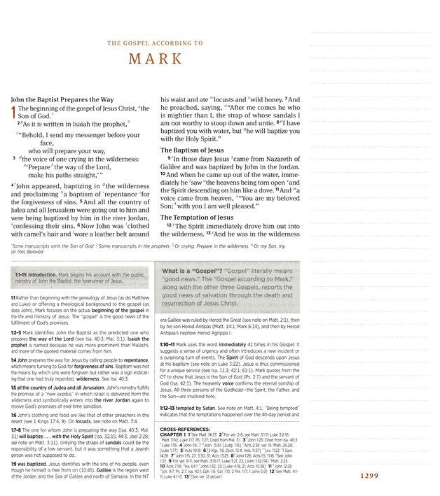 ESV Journaling Study Bible, Paris Sky TruTone over Board