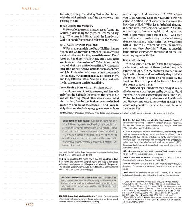 ESV Journaling Study Bible, Paris Sky TruTone over Board