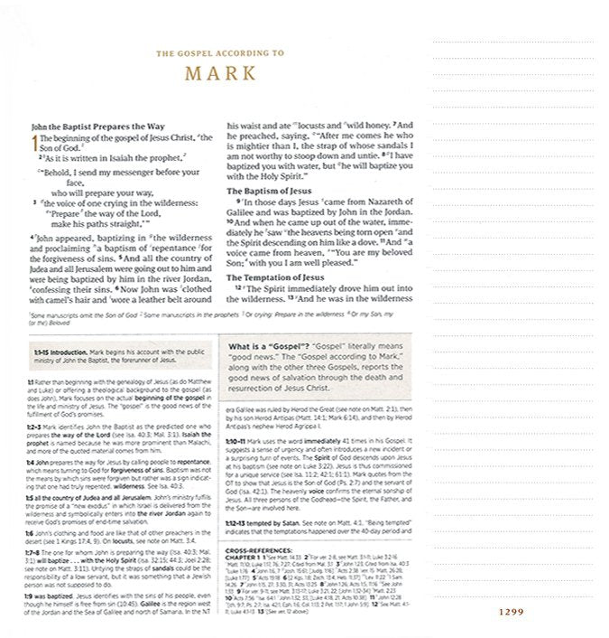 ESV Journaling Study Bible Caramel Trutone over Board