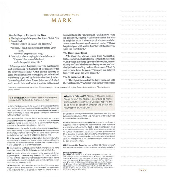 ESV Journaling Study Bible Caramel Trutone over Board