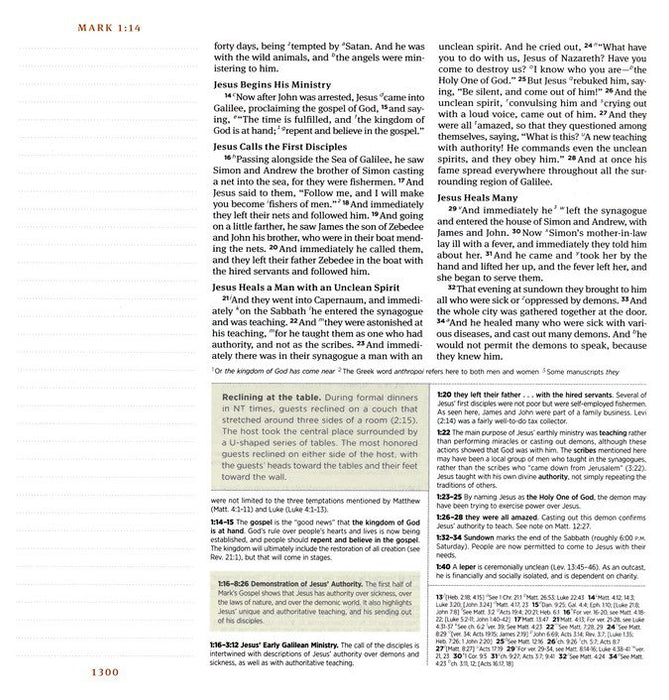 ESV Journaling Study Bible Caramel Trutone over Board