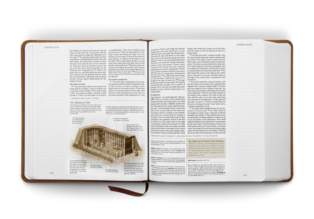 ESV Journaling Study Bible Caramel Trutone over Board