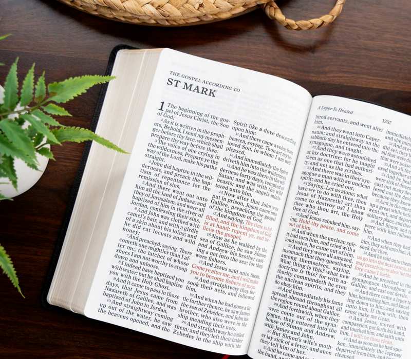 KJV Personal Size Giant Print Bible, Camel Suedesoft Leathertouch