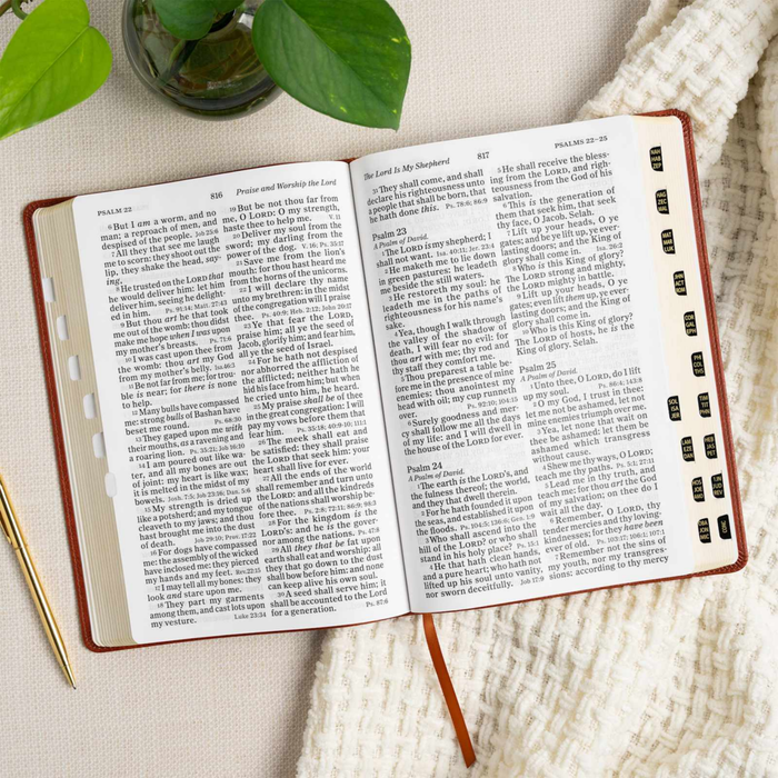 KJV Giant Print Reference Bible, Burnt Sienna LeatherTouch, Indexed
