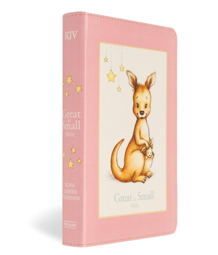KJV Great and Small Baby Bible Pink Leathertouch
