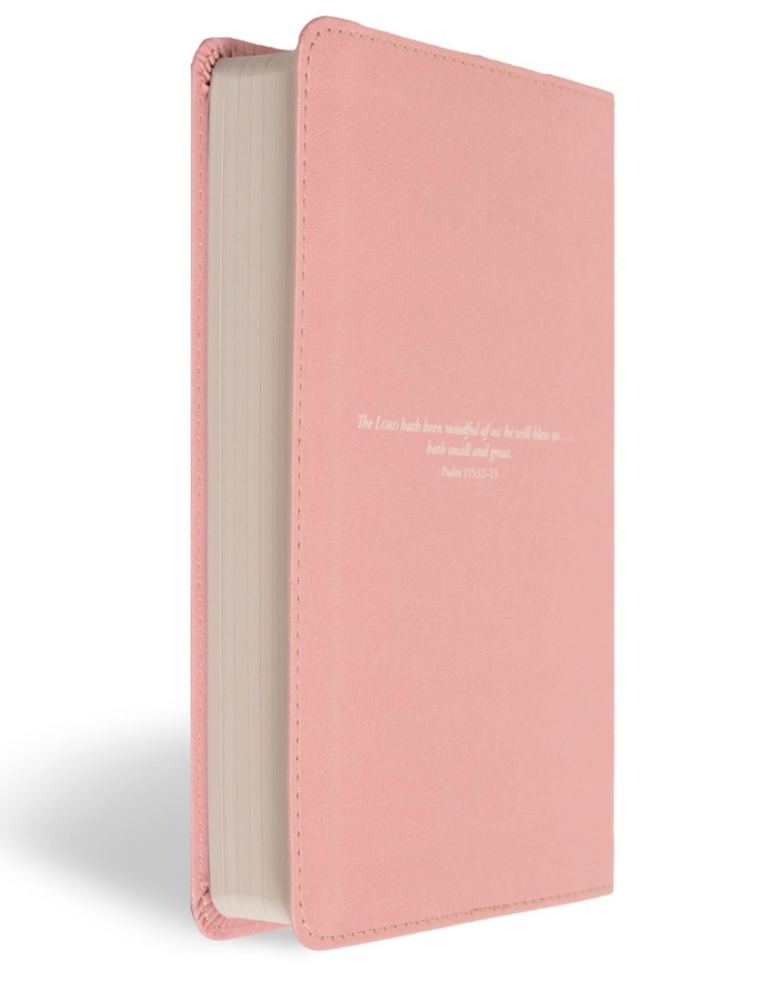 KJV Great and Small Baby Bible Pink Leathertouch