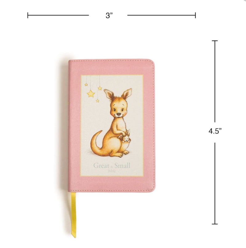 KJV Great and Small Baby Bible Pink Leathertouch