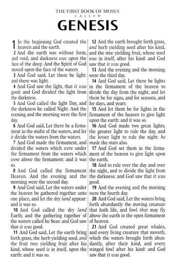 KJV Compact Large Print Bible Robin's Egg Blue Faux Leather *