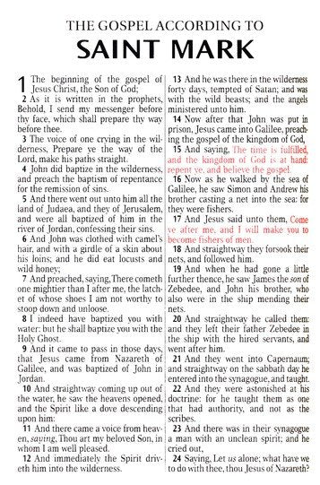 KJV Compact Large Print Bible Robin's Egg Blue Faux Leather *