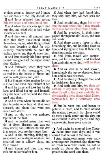 KJV Compact Large Print Bible Robin's Egg Blue Faux Leather *