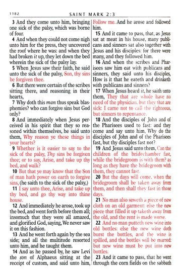 KJV Compact Large Print Bible Robin's Egg Blue Faux Leather *