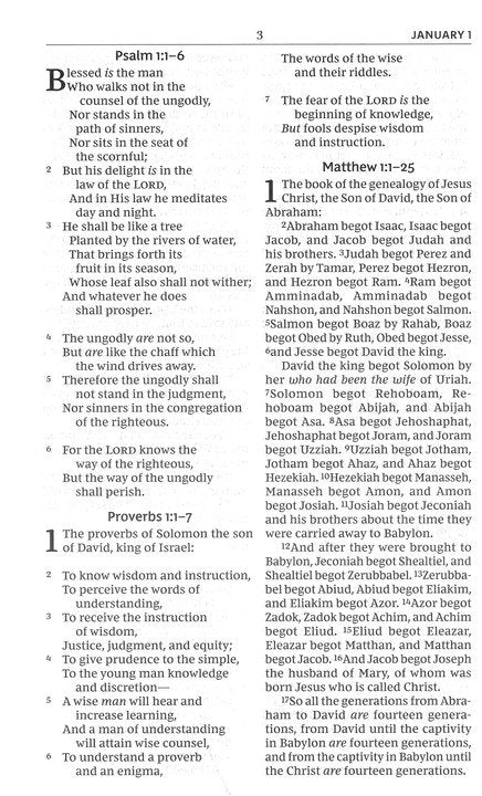 NKJV The Everyday Bible, Leathersoft