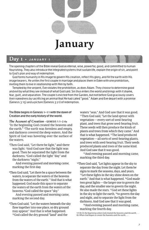 The One Year Chronological Study Bible - NLT - Paperback