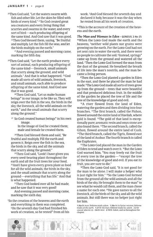 The One Year Chronological Study Bible - NLT - Paperback