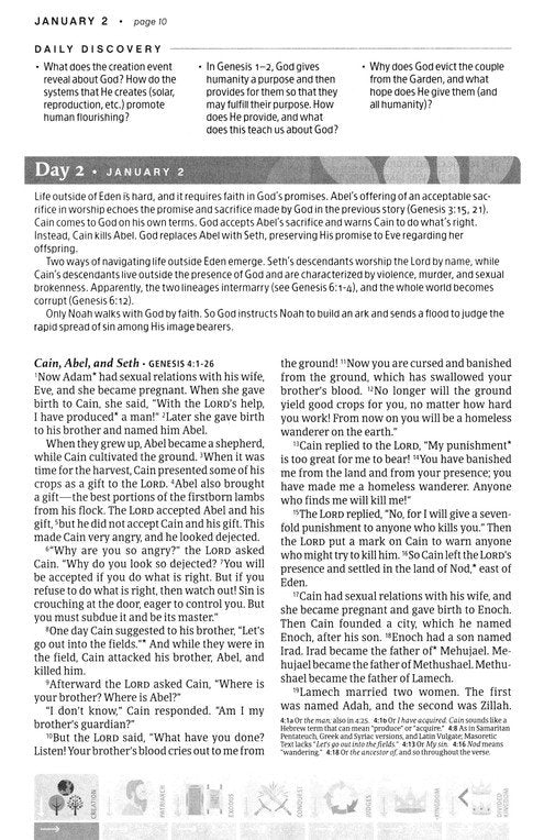 The One Year Chronological Study Bible - NLT - Paperback