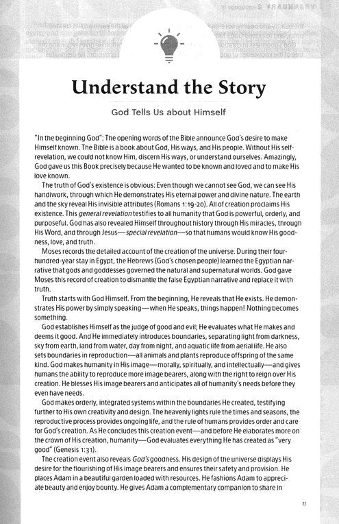 The One Year Chronological Study Bible - NLT - Paperback