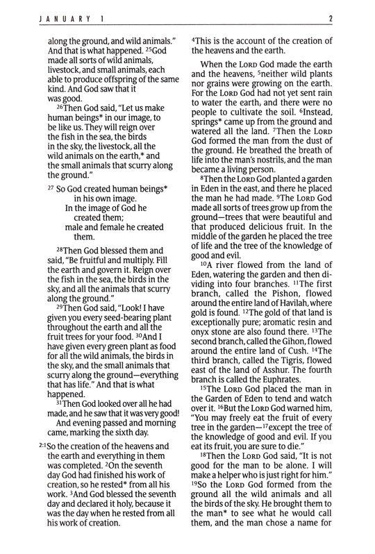 The One Year Bible NLT, Large Print Thinline Edition