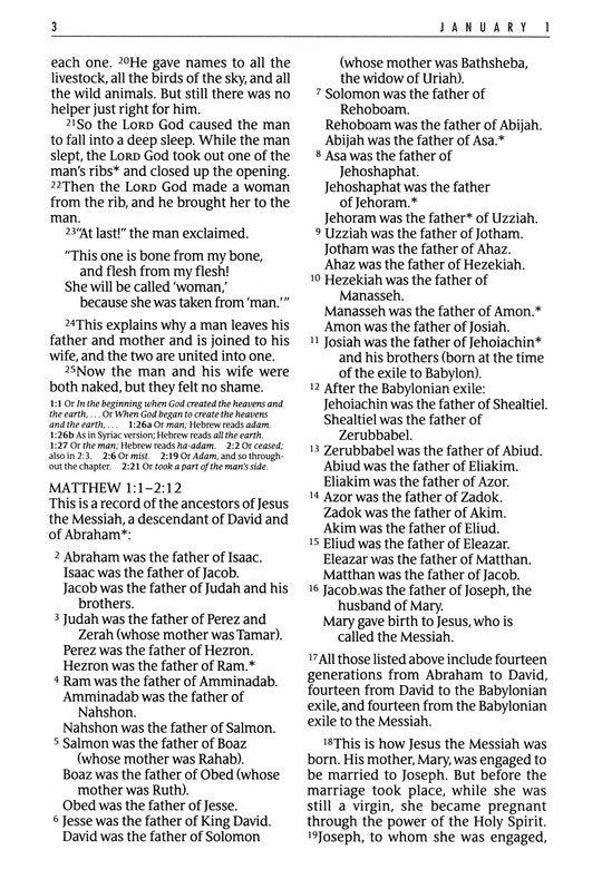 The One Year Bible NLT, Large Print Thinline Edition